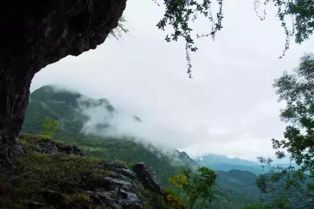 秋夏交替時節(jié)，哪些疾病需要注意