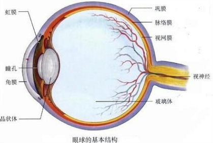 什么是遠視？它和老花是一回事嗎？