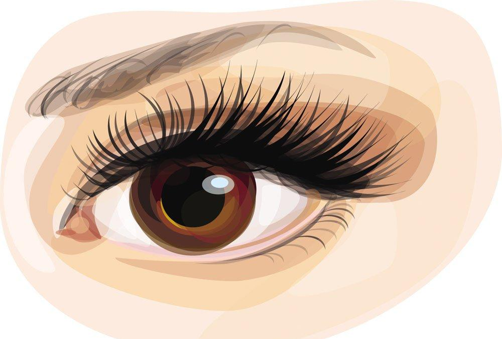 人類眼睛構(gòu)造，愛大愛與你共同探索